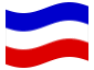 Geanimeerde vlag Sleeswijk-Holstein (Pruisische provincie)